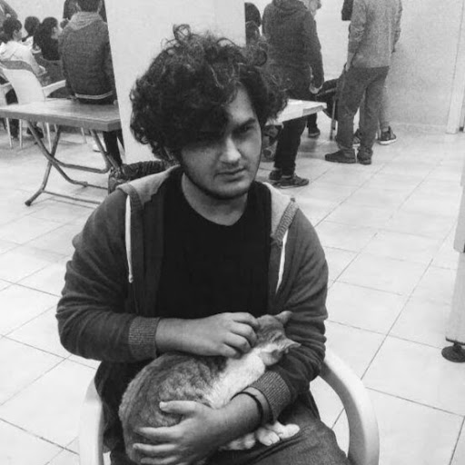 yazar