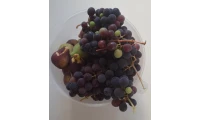 yazı resim