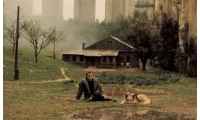 yazı resim