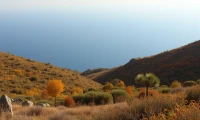 yazı resim