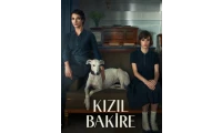 yazı resim